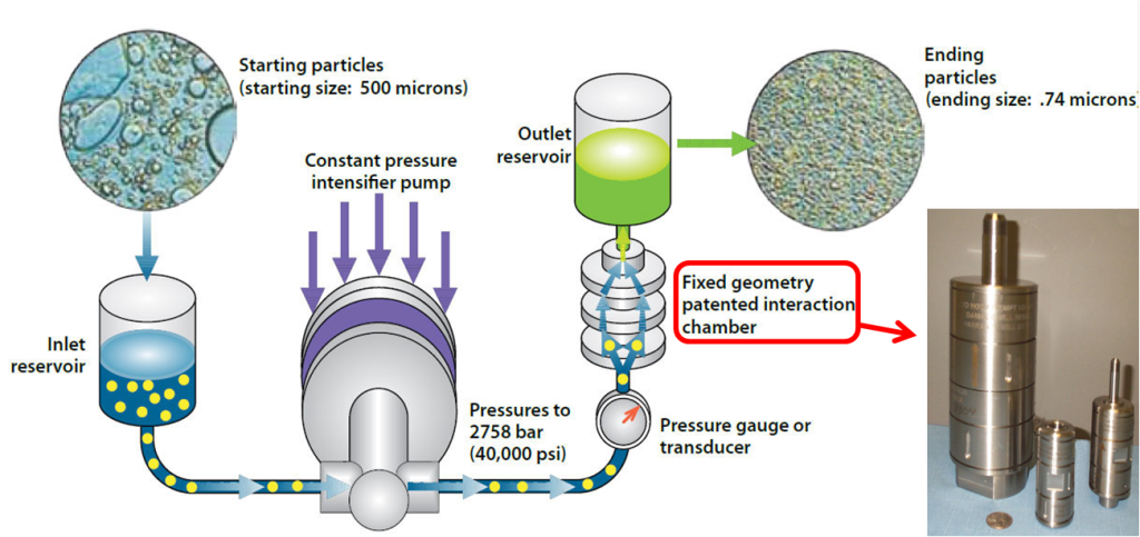 book plant cryopreservation